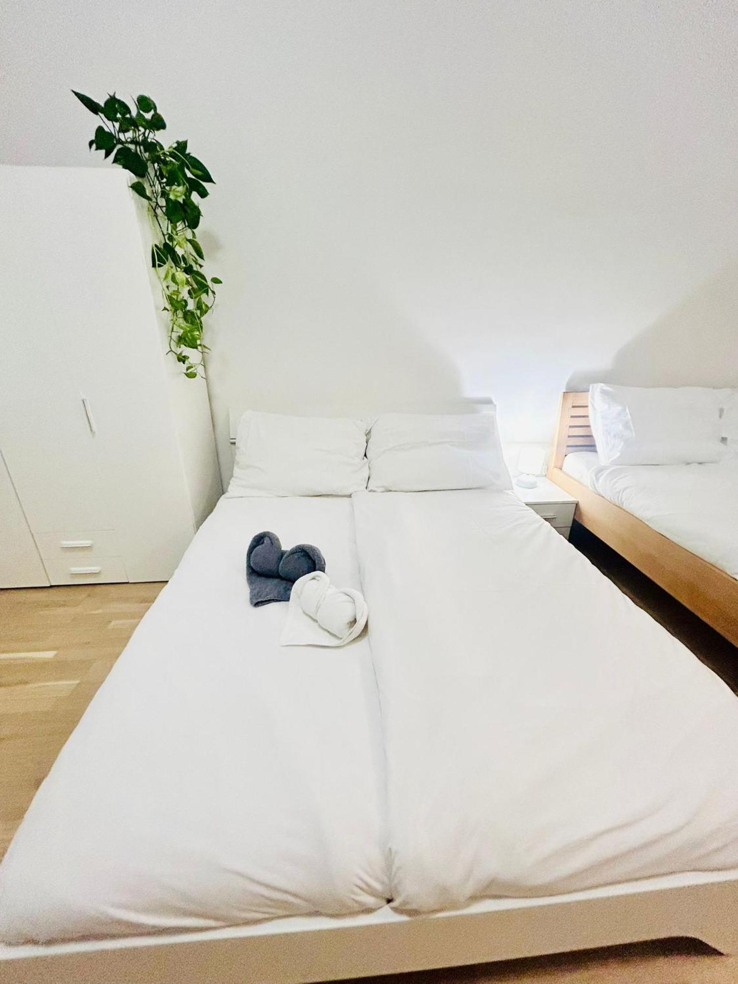 New Design & Style Apartments 50M From Wenceslas Square 布拉格 外观 照片