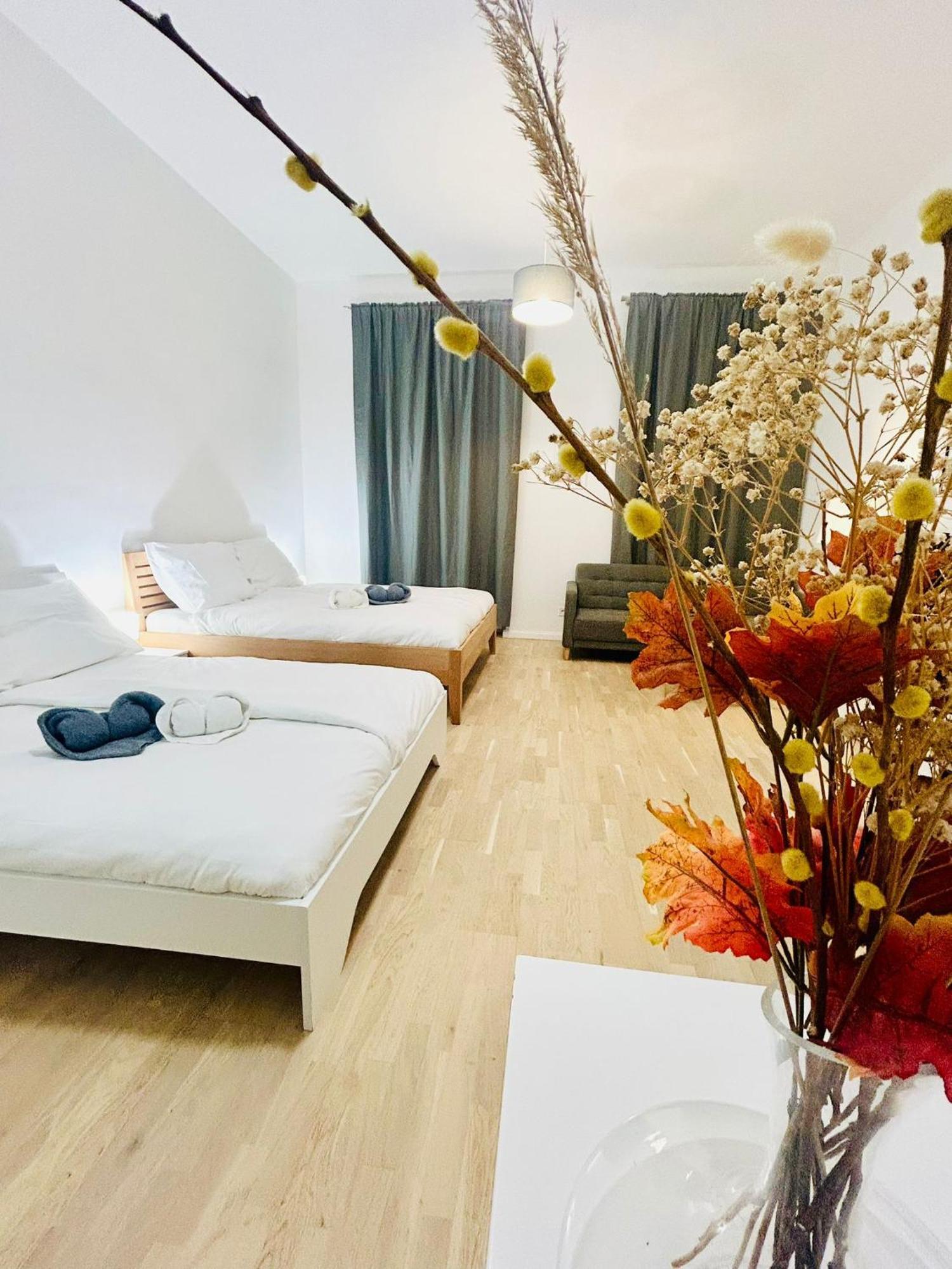 New Design & Style Apartments 50M From Wenceslas Square 布拉格 外观 照片