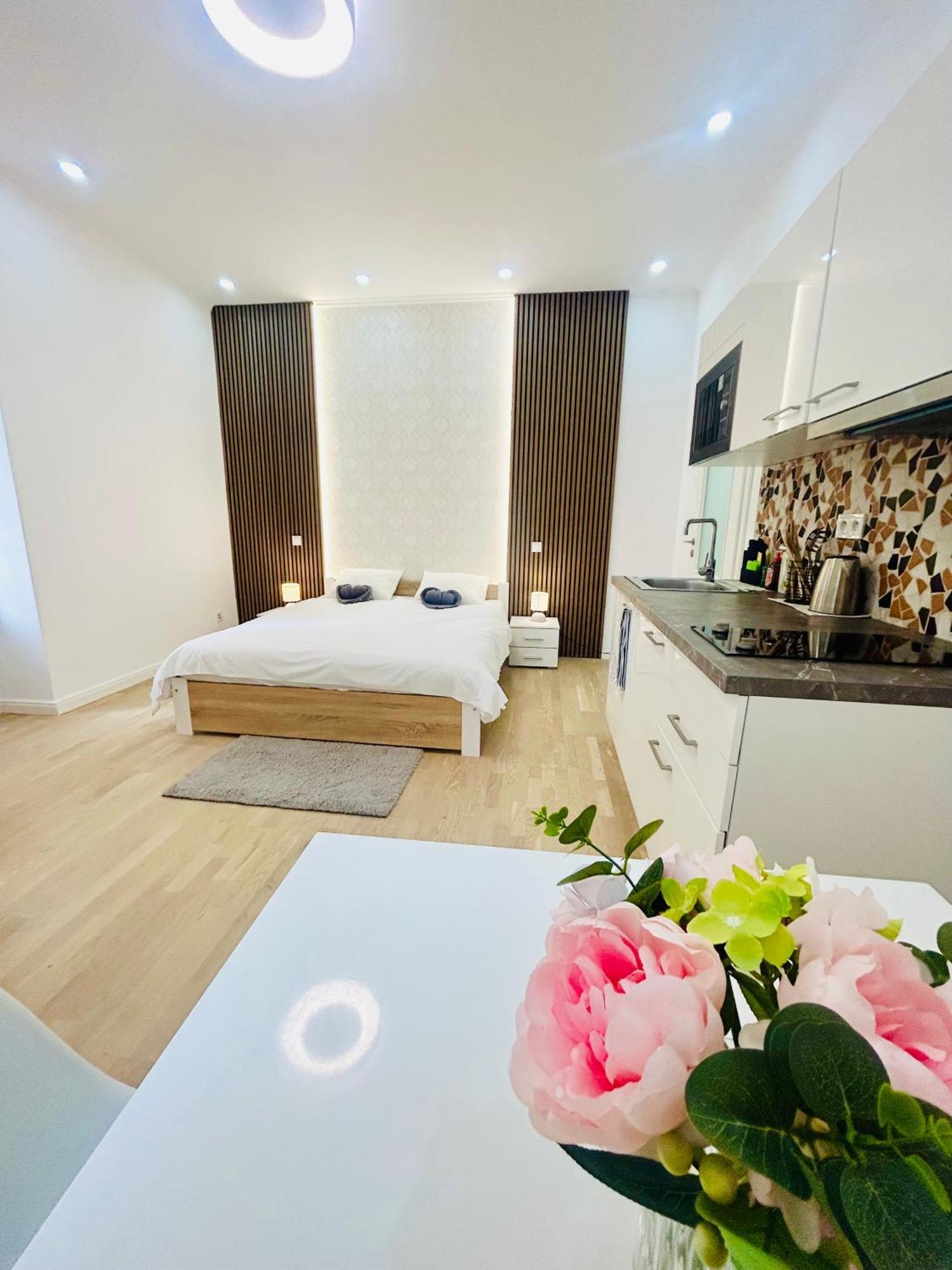 New Design & Style Apartments 50M From Wenceslas Square 布拉格 外观 照片